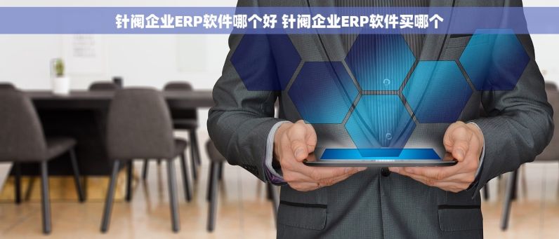 针阀企业ERP软件哪个好 针阀企业ERP软件买哪个