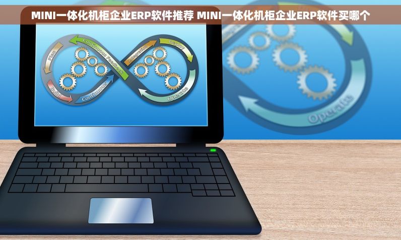 MINI一体化机柜企业ERP软件推荐 MINI一体化机柜企业ERP软件买哪个