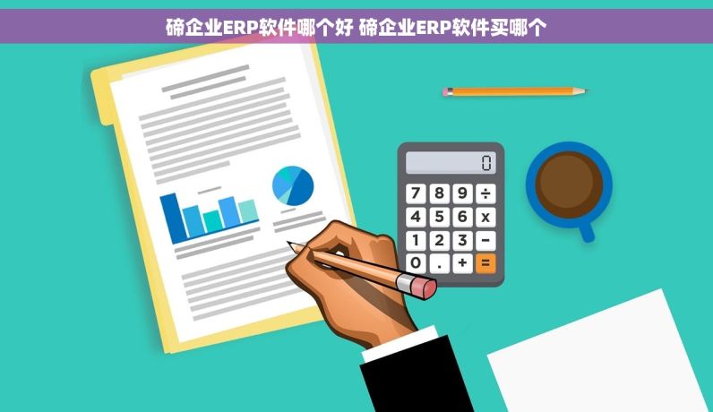 碲企业ERP软件哪个好 碲企业ERP软件买哪个