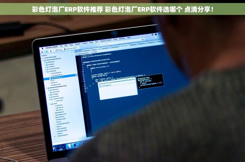 彩色灯泡厂ERP软件推荐 彩色灯泡厂ERP软件选哪个 点滴分享！