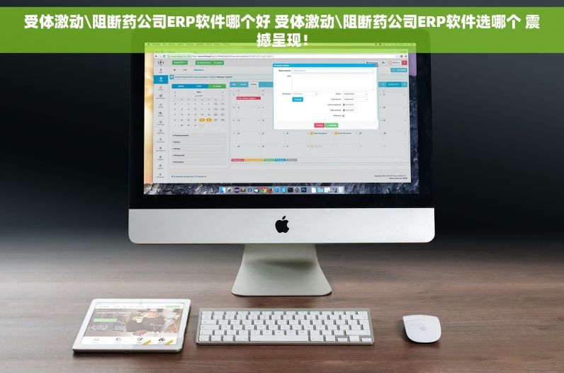 受体激动\阻断药公司ERP软件哪个好 受体激动\阻断药公司ERP软件选哪个 震撼呈现！
